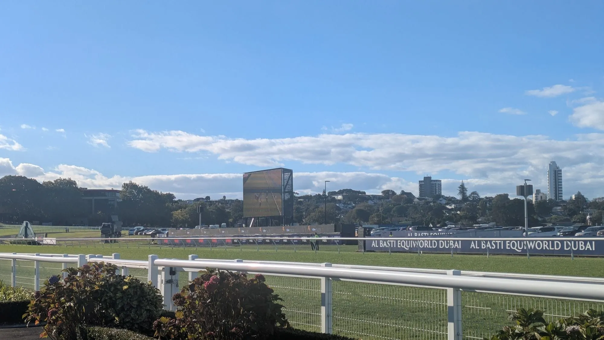 エラズリー競馬場の芝コースと白いラチ。遠くにオークランド中心部の高層ビルが見える