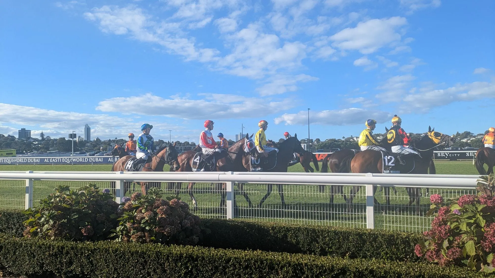 レース前にコース上を歩く出走馬と騎手の列。手前に白いラチと植え込み、奥に市街地
